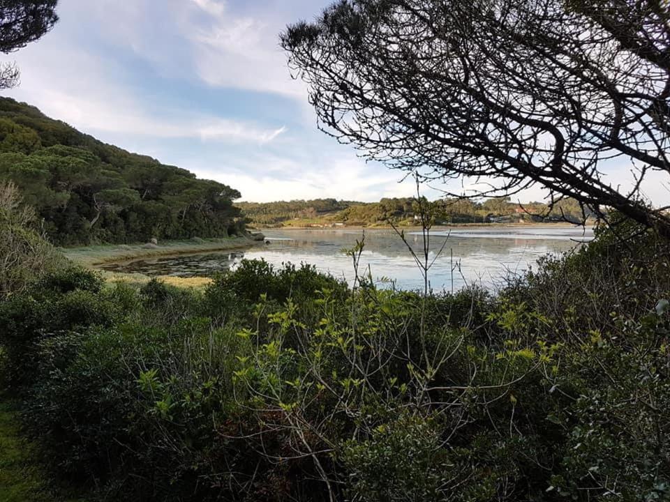 Vila Casa Do Canto - Uma Casa No Campo, Perto Da Praia. Óbidos Exteriér fotografie